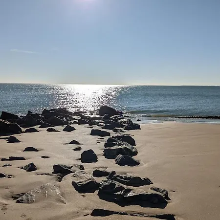 Apartamento Spacious Quiet Nest With Garden Near The Sea La Tranche-sur-Mer